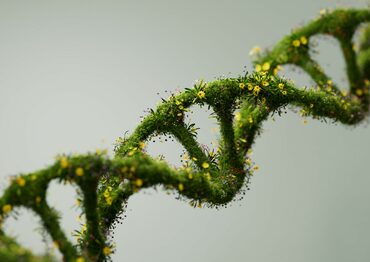 Esg weaving dna istock just super 2138730502