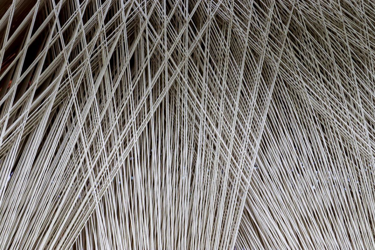 Textile fiber sourcing apparel istock michael piepgras 1279020142